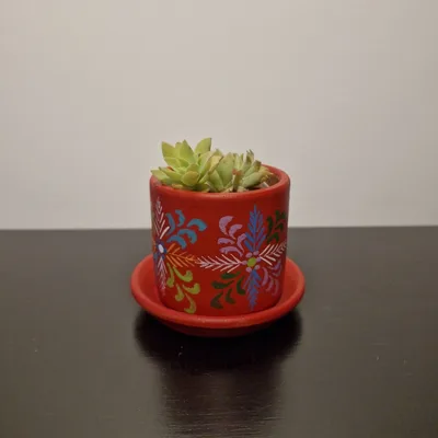 Pot à Cactus multicolore