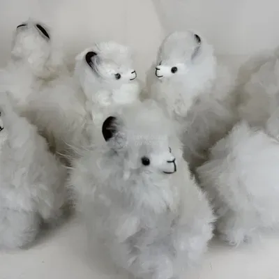 Décoration Alpaga Baby véritable — Vorschaubild 1
